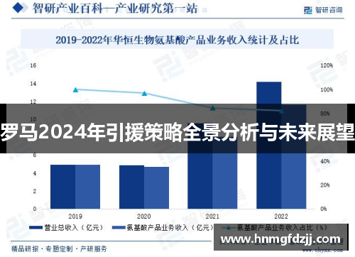 罗马2024年引援策略全景分析与未来展望