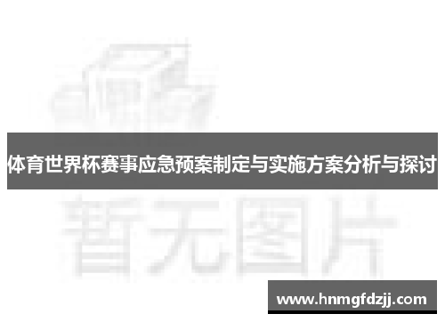 体育世界杯赛事应急预案制定与实施方案分析与探讨
