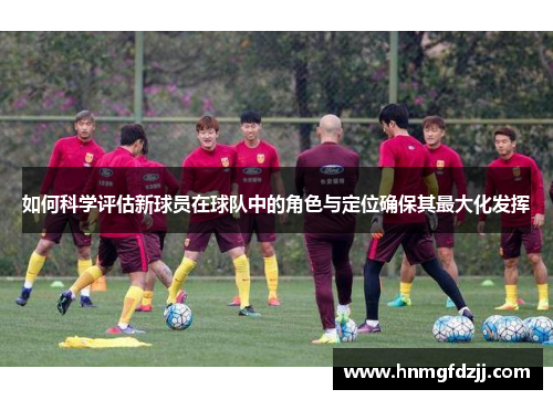 如何科学评估新球员在球队中的角色与定位确保其最大化发挥