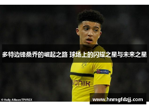 多特边锋桑乔的崛起之路 球场上的闪耀之星与未来之星