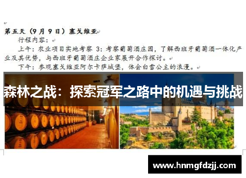 森林之战：探索冠军之路中的机遇与挑战